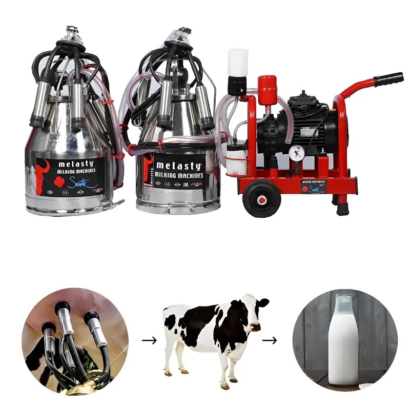 Productos de melasty